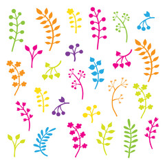 Fototapeta na wymiar Vector floral collection with leaves and flowers. Spring or summ