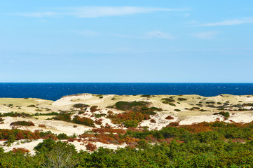 Landscape at Cape Cod