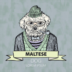 Portrait of a dog Maltese in green headphones and with cravat. Vector illustration.