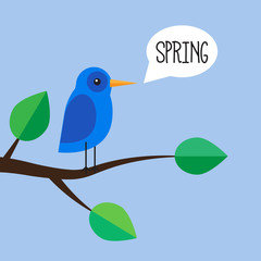 Blue bird on a branch