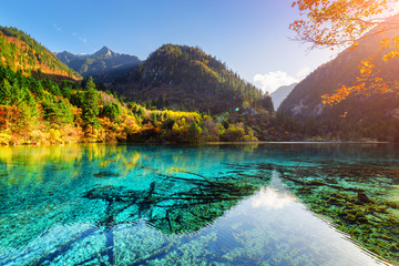 Colorful woods reflected in azure water of the Five Flower Lake