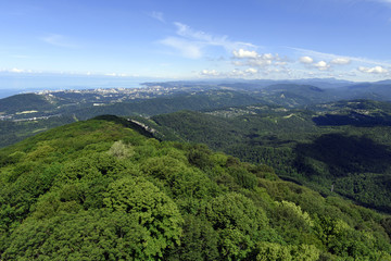 Obraz premium Panorama of the city of Sochi. View from mount Akhun