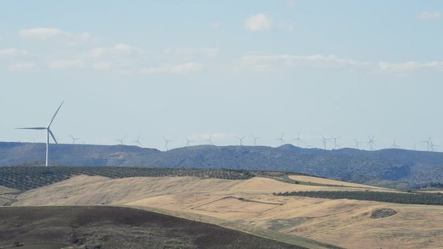 Landscape of fields with wind turbines energy renewable towers moving at sunset