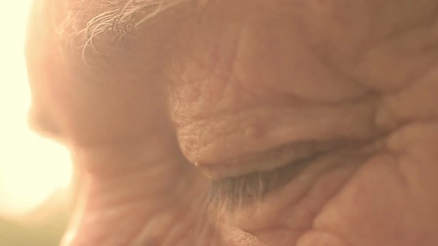 closeup portrait on eyes of elderly man with sun back light: look, wrinkled man
