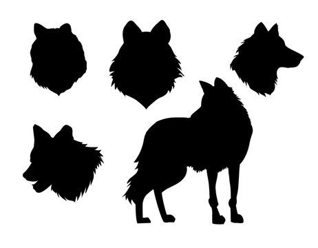 vector illustration wolf silhouette set on white background
