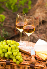 Various sorts of cheese, Two glasses of white wine in the garden