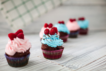 colored Cupcakes sweet