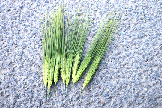 green ears on black asphalt