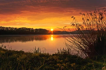 Fototapete See / Teich Frühlingssonnenaufgang am Teich