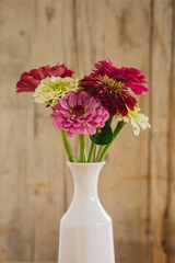 Dahlias in vase