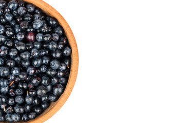 Blueberries in bowl