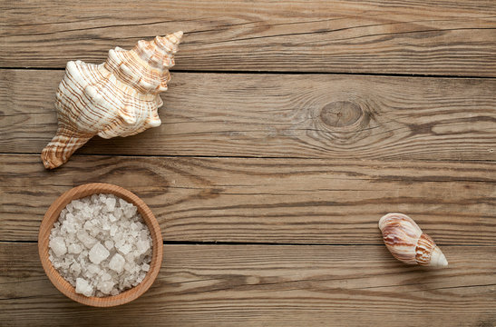 Sea Salt And Shell On A Wood