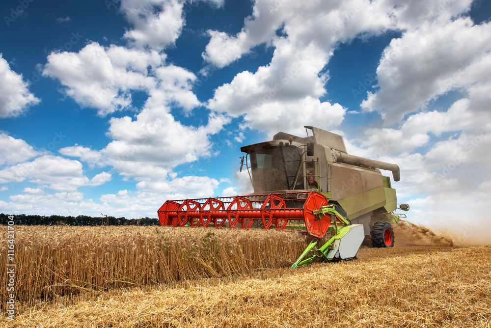 Aufkleber combine harvester working on a wheat field.