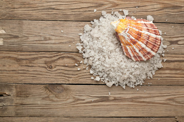 sea salt and shell on a wood