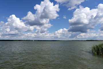 Wild Mazuria - summer landscape