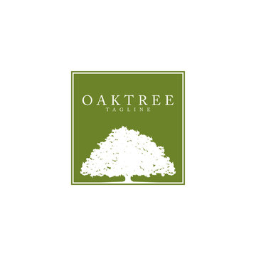 Oak tree logo design