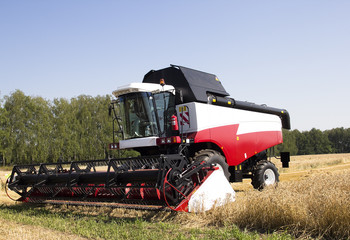 Fototapeta premium Harvester machine to harvest wheat field working. Combine agriculture harvesting golden ripe . 