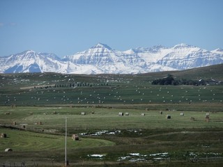 Obraz premium Farming in the mountains