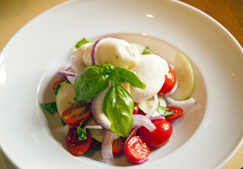 Toscana,Firenze,piatto di pomodoro e mozzarella