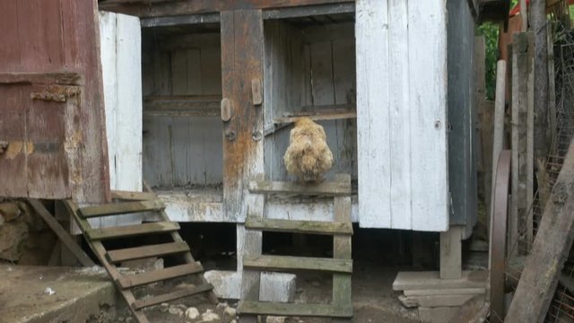 A wooden hen shed in a village farm.