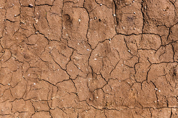 cracked earth close up