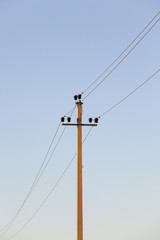 High-voltage power poles