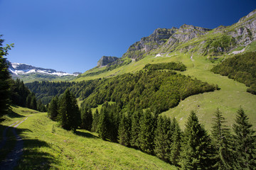 Lovely Alpine scenery on a sunny summer day, high mountain range and meadow view