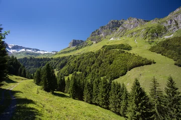 Fototapete Rund Lovely Alpine scenery on a sunny summer day, high mountain range and meadow view © mdennah