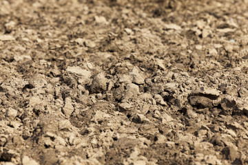 plowed land for cereal