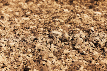 plowed land for cereal