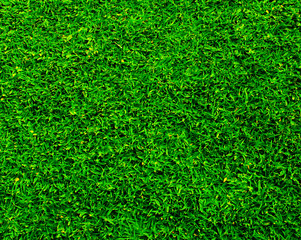 artificial grass