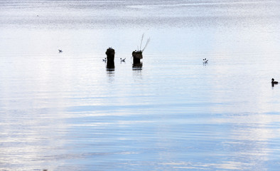 small lake. Spring