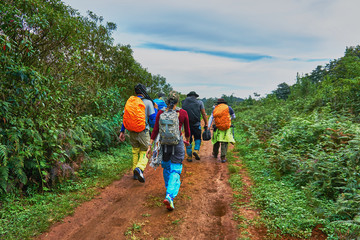 Group of backpacker walks along the walkway go to the forest.
