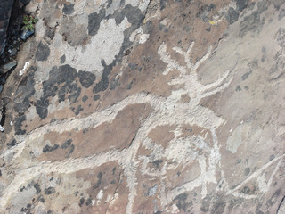 Stone with deer animal petroglyphs