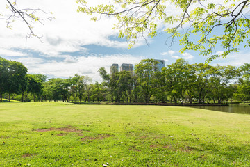 Fototapeta na wymiar Green grass field in park at city center with sunlight in the morning