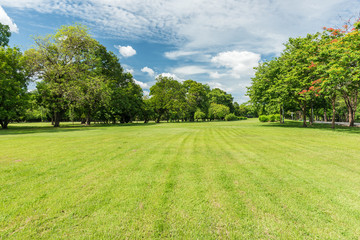 Green grass field in park at city center with sunlight in the morning