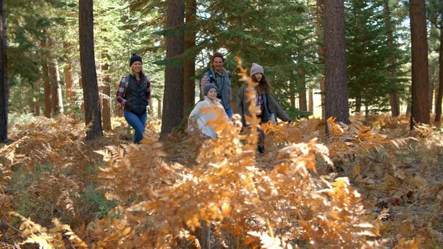 Handheld shot through foliage of family walking in forest