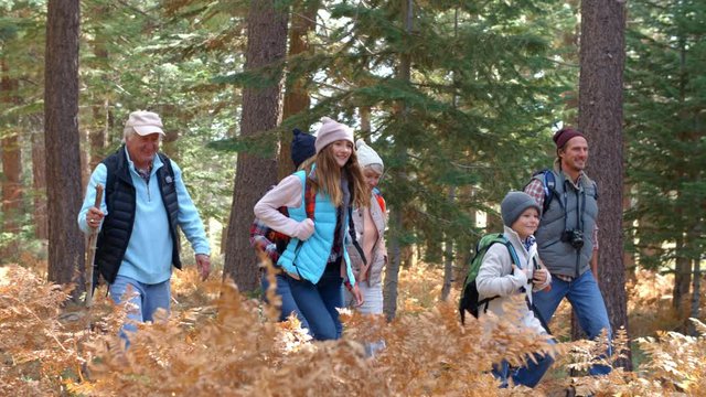 Panning shot of multi generation family walking in a forest