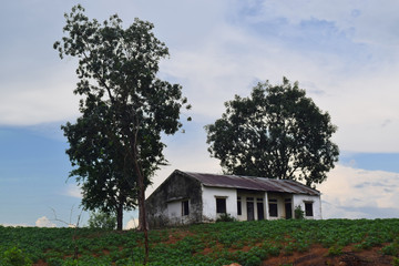 rural view in Vietnam with lonely house on the hill and field