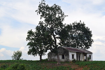rural view in Vietnam with lonely house on the hill and field