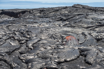 Lava flow in lava field