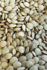 This is a closeup photograph of Green lentils