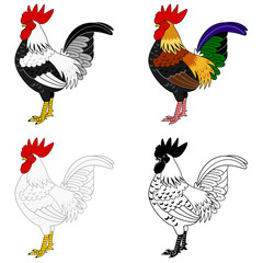 set of roosters