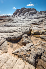 White Pocker, Arizona
