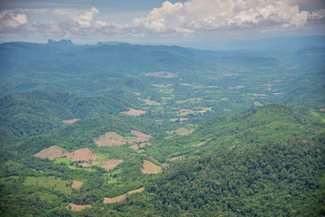 Forest encroachment to plant corn Tak ,Thailand.