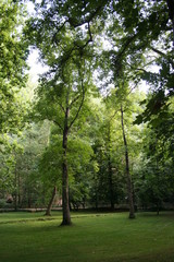 Parque natural del Monasterio de Piedra, Zaragoza (España)