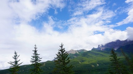 beautiful of National Park for background of nature