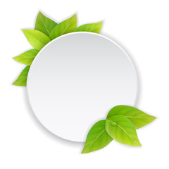 Circular paper label with green leaves. Eco sign.