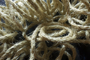 This is a photograph of a Rope placed on a table