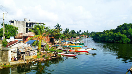 Fototapeta na wymiar Fishermen village in Negombo, Sri Lanka